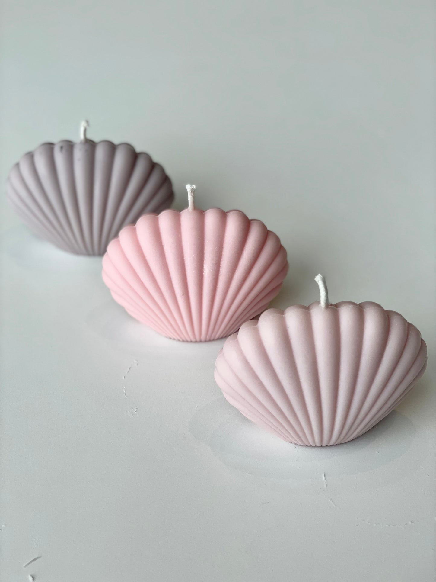 Seashell moulded candle